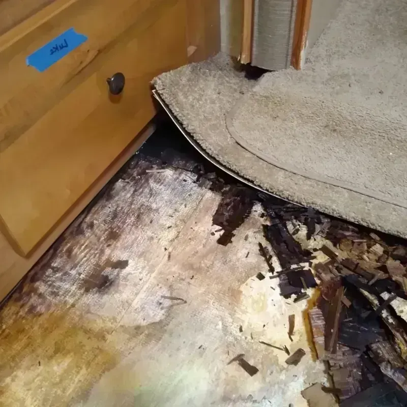 Wood Floor Water Damage in Rock Island County, IL